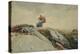 Down the Cliff, 1883-Winslow Homer-Premier Image Canvas