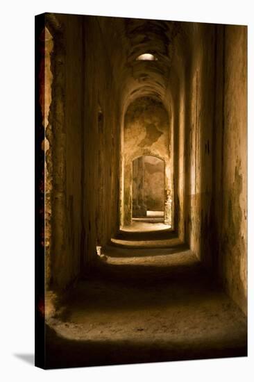 Down the Hall II-Karyn Millet-Premier Image Canvas