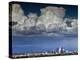 Downtown Los Angeles, California with Cumulonimbus Clouds Forming Overhead.-Ian Shive-Premier Image Canvas