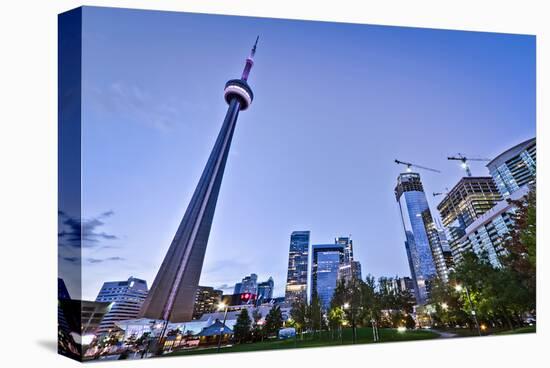 Downtown Toronto Park CN Tower-null-Stretched Canvas