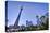 Downtown Toronto Park CN Tower-null-Stretched Canvas