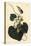 Downy Leaved Birthwort, Aristolochia Tomentosa-Sydenham Teast Edwards-Premier Image Canvas
