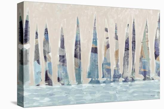Dozen Muted Boats Panel-Dan Meneely-Stretched Canvas