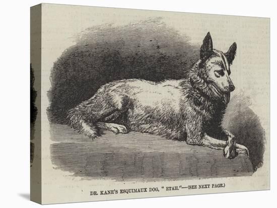 Dr Kane's Esquimaux Dog, Etah-null-Premier Image Canvas