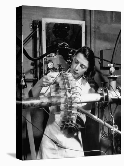 Dr. Liane Russell Studying Effects of Radiation on Mouse Genetics at Oak Ridge National Laboratory-null-Premier Image Canvas