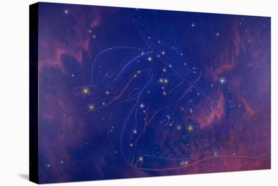 Draco Constellation-Chris Butler-Premier Image Canvas