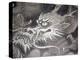 Dragon Head, Kyoto, Japan-Shin Terada-Premier Image Canvas