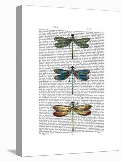 Dragonflies Print 1-Fab Funky-Stretched Canvas