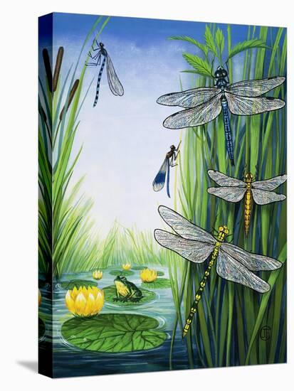 Dragonflies-null-Premier Image Canvas