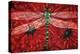 Dragonfly And Poppies-Holly Carr-Premier Image Canvas