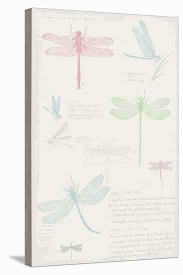 Dragonfly Diary-Maria Mendez-Stretched Canvas