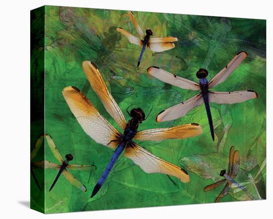 Dragonfly Fantasy-Melinda Bradshaw-Stretched Canvas