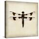 Dragonfly II-Amy Melious-Stretched Canvas