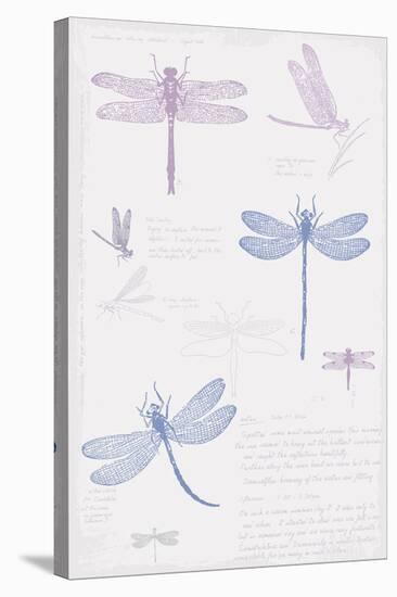 Dragonfly Sketchbook-Maria Mendez-Stretched Canvas