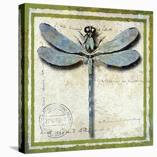 Dragonfly-Karen J^ Williams-Stretched Canvas