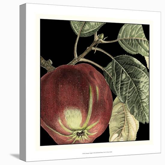 Dramatic Apple-Vision Studio-Stretched Canvas