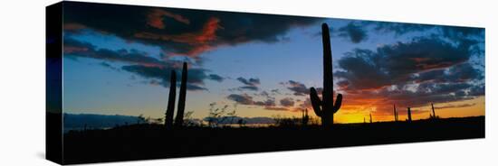 Dramatic Arizona Desert Sunset-null-Stretched Canvas