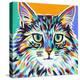 Dramatic Cats I-Carolee Vitaletti-Stretched Canvas