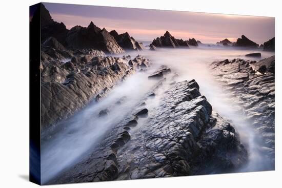 Dramatic coastal scenery at sunset, Hartland Quay, Devon, England. Spring (April) 2010.-Adam Burton-Premier Image Canvas