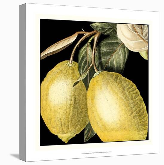 Dramatic Lemon-Vision Studio-Stretched Canvas