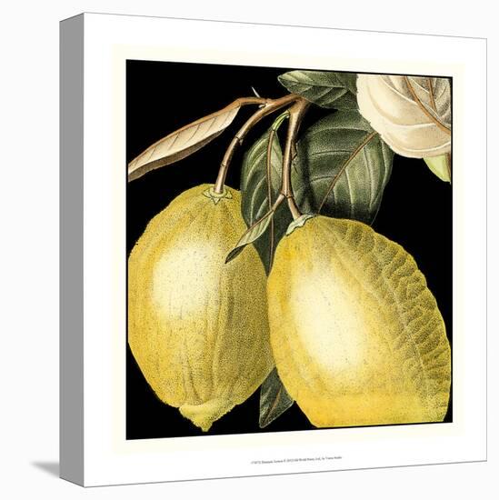 Dramatic Lemon-Vision Studio-Stretched Canvas