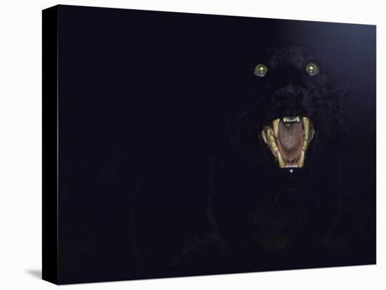 Dramatic of Black Panther, Camouflaged by Darkness, with Eyes and Open Mouth Visible-John Dominis-Premier Image Canvas