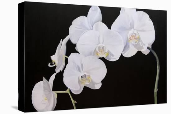 Dramatic Orchids I-Sandra Iafrate-Stretched Canvas