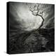Dramatic Sky Over Old Lonely Tree-NejroN Photo-Stretched Canvas