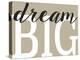 Dream Big 2-Leslie Wing-Premier Image Canvas