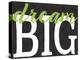 Dream Big Color Black Bk Distressed Treatment-Leslie Wing-Premier Image Canvas