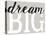 Dream Big Distressed Treatment-Leslie Wing-Premier Image Canvas