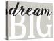 Dream Big Distressed Treatment-Leslie Wing-Premier Image Canvas