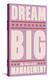 Dream Big (pink)-John Golden-Stretched Canvas