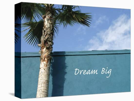 Dream Big-Nicole Katano-Stretched Canvas