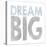 Dream Big-Erin Clark-Premier Image Canvas