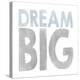 Dream Big-Erin Clark-Premier Image Canvas