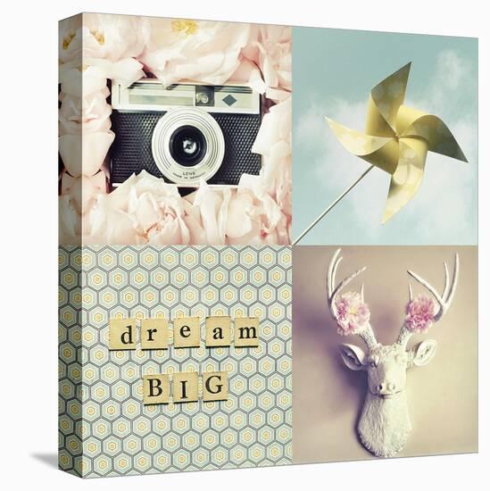 Dream Big-Vicki Dvorak-Stretched Canvas