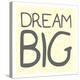 Dream Big-Milli Villa-Stretched Canvas