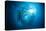 Dream Blackfin Barracuda, Sphyraena Qenie, Mary Island, the Solomon Islands-Reinhard Dirscherl-Premier Image Canvas