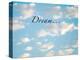 Dream Clouds-Nicole Katano-Stretched Canvas