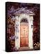 Dream Home-Irene Suchocki-Stretched Canvas