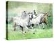 Dream Horses 028-Bob Langrish-Premier Image Canvas