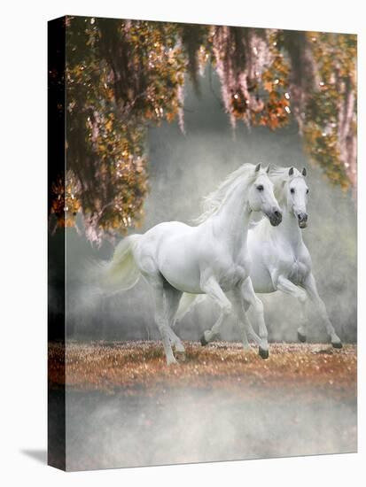 Dream Horses 072-Bob Langrish-Premier Image Canvas