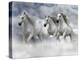 Dream Horses 087-Bob Langrish-Premier Image Canvas