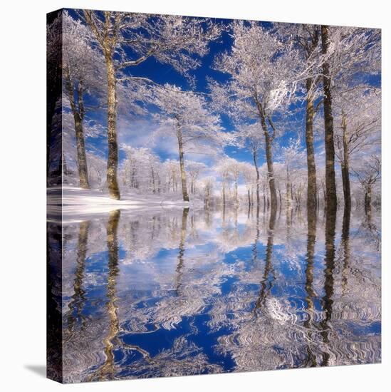 Dream in Blue-Philippe Sainte-Laudy-Premier Image Canvas