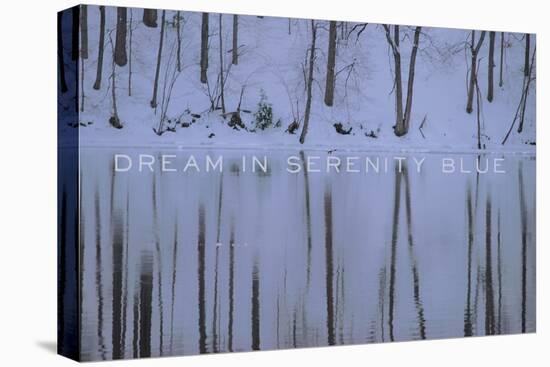 Dream in Serenity Blue-Art Licensing Studio-Premier Image Canvas