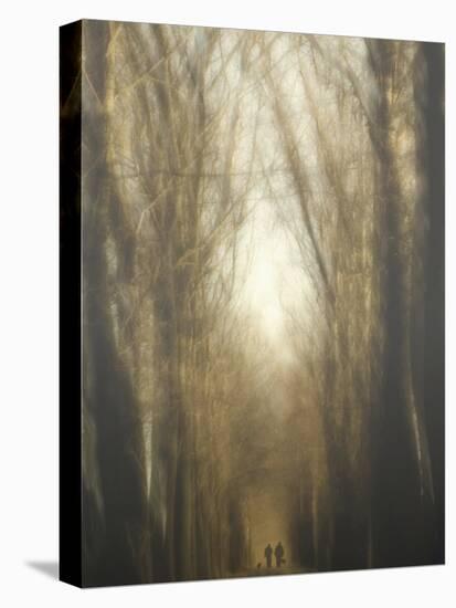 Dream Lane-Yvette Depaepe-Premier Image Canvas