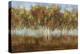 Dream Meadow II-Sloane Addison ?-Stretched Canvas