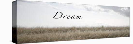 Dream Meadow-Nicole Katano-Stretched Canvas