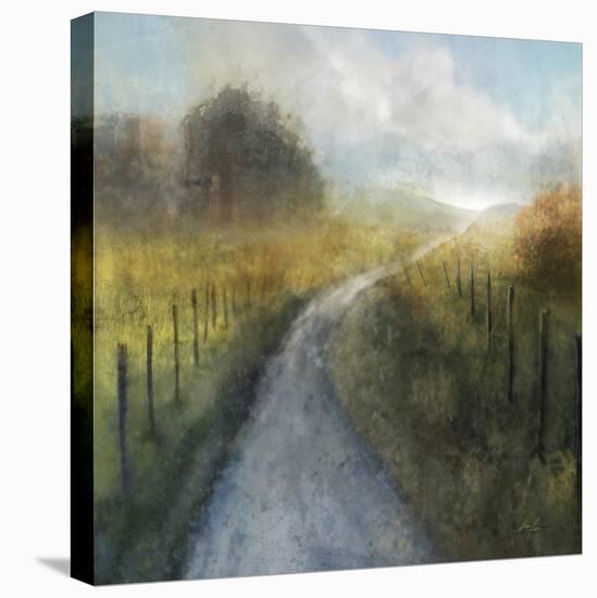 Dream Path 2-Ken Roko-Stretched Canvas
